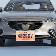 Stainless Steel Slim License Plate Frame with Metal Screw Caps, 2 Hole Polished