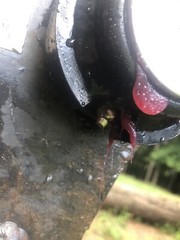 BLACK KUBOTA HYDRAULIC MINI EXCAVATOR THUMB KX033 KX040 PIN ON