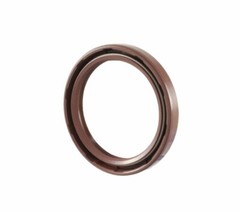 EAI 48x62x8mm FPM/FKM Oil Shaft Rotary Seal w/ Stainless Steel Spring Dbl Lip