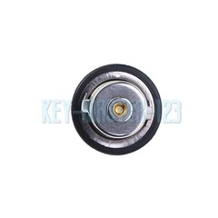 New Thermostat 8971606540 for Isuzu 3LB1 3LD1 4LB1 4LC1 4LE1 4LE2 Engines