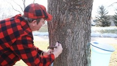 Maple Syrup Tapping Kit – 10 Spiles, 10 Tubes, 2 Filters, BPA Free, Instructions