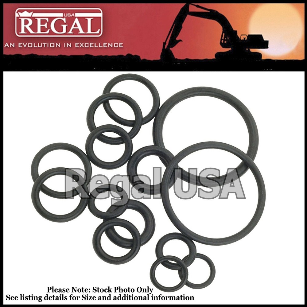 2R0098 Seal O-Ring (CS=5.33mm, ID=456.06mm, Standard Size=387) (X) 9M4505 387N70