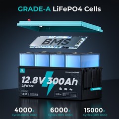 12V 300Ah LiFePO4 Battery Deep Cycles 3840Wh 200A BMS for RV Solar Home Boat