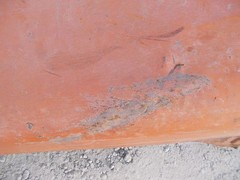 Unstyled Allis Chalmers WC AC Tractor ORIGNAL engine motor hood cover