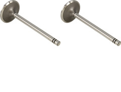 Intake Valve Kit Pack of 2 5S6452 fits Caterpillar 5090B
