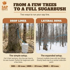 Maple Syrup Sap Collection Tubing 100 Feet 5 16″ ID Food Grade Vacuum Hose Tree