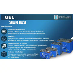YTX12-BS GEL Battery Replaces Kawasaki 300 KVF300 Brute Force 2018