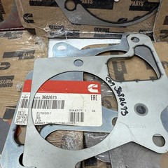 Cummins Gasket Lot Multiple Part #’s Almost All Are OEM – You Get All