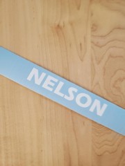 NELSON last name decal sticker vinyl (2) PAIR Gloss WHITE 10″ FAST USA