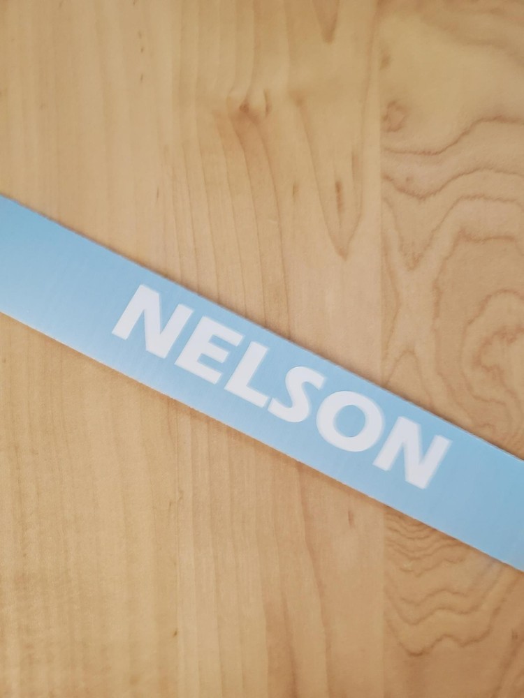 NELSON last name decal sticker vinyl (2) PAIR Gloss WHITE 8″ FAST USA