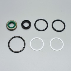 Steering Cylinder Seal Kit New Holland TC 15 20 Series & CASE IH D DX T Series
