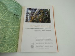 Asgrow Northern Seed Technology 2000 Brochure Catalog
