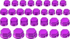 1 Set Screw Cap Motorcycle Motorbike Screw Nut Bolt Cap Cover De Color: Purple