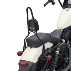 Rear Sissy Bar Passenger Backrest Pad For Harley Sportster XL883 1200 04-22
