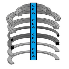 510659001 Cylinder Seal Kit Fits Yale Forklift