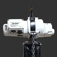 250KG 3M Lift Electric Chain Hoist Brushless Small Crane Lifting Hoist 110V/220V