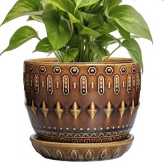 G EPGardening 5.5 Inch Plant Pot – Ceramic Planter for Indoor Outdoor Plants, Bo