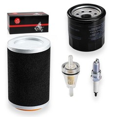 Air Filter & Oil Filter Kit with Guide Cage for Yamaha Grizzly Kodiak Wolverine