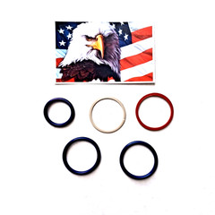 297-4841 PACK OF 6 INJECTOR SEAL KIT Caterpillar C7 C9 Ships Central Texas
