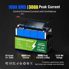 NEW 100Ah 48V LiFePO4 Lithium Battery 5120Wh W/ 58.4V 20A Charger For Golf Cart