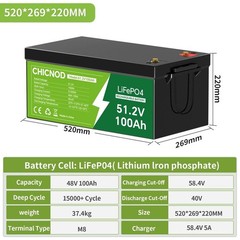 12V 55Ah LiFePO4 Lithium Battery With BMS for Scooter Fish kid car RV Motor