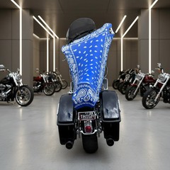 THIGHBRUSH® – AZUL – Water Repellent Motorcycle Cover and Sunshade