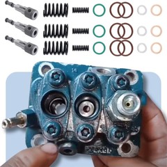 Fuel Injection Pump Rebuild Kit For Kubota D902 D722 D905 RTV 900 BX For Bobcat