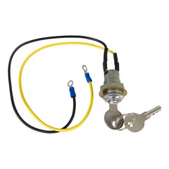 2X Ignition Key Switch with Keys 8N3679C For Ford Tractor 2N 8N 9N NAA