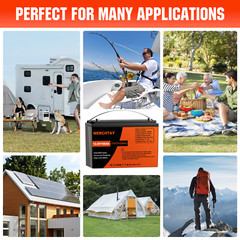 24V 100Ah LiFePO4 Lithium Battery 2Pack 12V 100Ah BMS Solar For Boat RV Off-grid