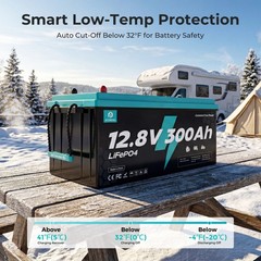12V 300Ah LiFePO4 Battery Deep Cycles 3840Wh 200A BMS for RV Solar Home Boat