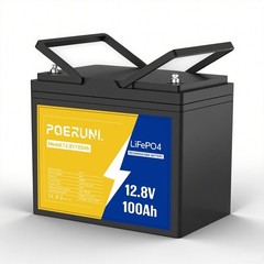 12V 100Ah LiFePO4 Lithium Battery BMS Deep Cycle for RV Marine Solar Off-grid