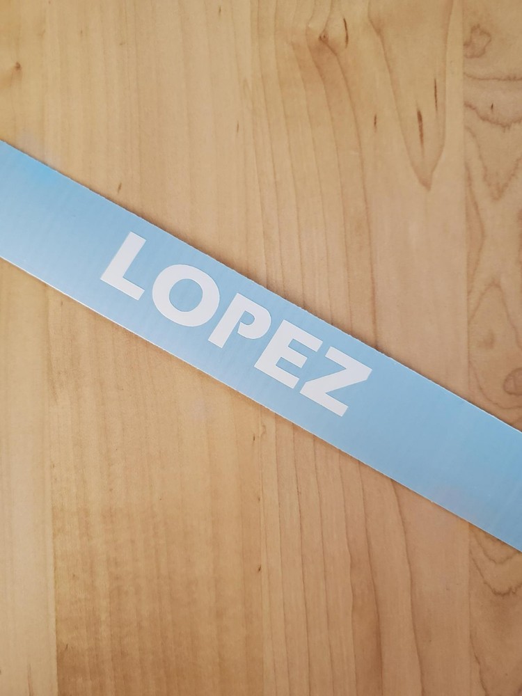 LOPEZ last name decal sticker vinyl (2) PAIR Gloss WHITE 10″ FAST USA
