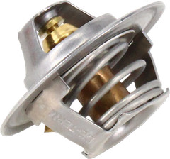 Thermostat with Gasket 160° Fits Ford 1500 1700 1900 1910 SBA145206011