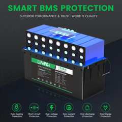 24V 100Ah LiFePO4 Lithium Battery Cycle Deep Built-in BMS for Solar RV Off-grid