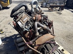 2019 International VT365 Engine REMAN REVIVA 6.0L Powerstroke School Bus IC