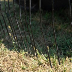 Titan Attachments 3 Point 5 FT Pine Straw Needle Rake, Category 1 Tractors