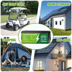 12V 55Ah LiFePO4 Lithium Battery With BMS for Scooter Fish kid car RV Motor
