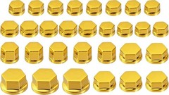 Motorcycle Screw Cap Cover Set in Gold Tone for Bolt and Nut Color: Gold Tone