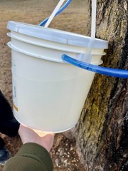 Maple Syrup Tree Tapping Kit: 10 Spiles, 10 Tubes & Sap Filters – BPA Free