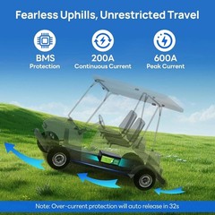 48V 100Ah LiFePO4 Lithium Battery Built-in 200A BMS 54.8V Battery For Golf Carts