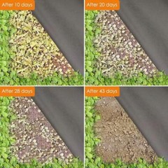 Heavy Non-Woven Ground Cover Landscape Fabric Weed Barrier 4 ft. x 300 ft.