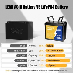POERUNI 100Ah 12.8V LiFePO4 Lithium Battery with BMS 100Ah + 14.6V 20A Charger