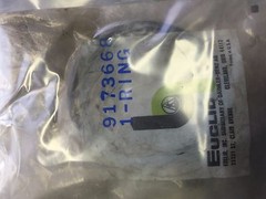 9173668 Euclid RING GM TEREX E9173668 – QTY of 2 RINGS
