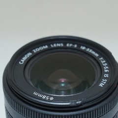 Canon EF-S18-55 3.5-5.6 IS STM Lens