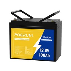 NEW 12V 100Ah LiFePO4 Lithium Battery 1280Wh Built-in 100A BMS 8000+ Cycle Deep