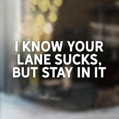 Anxious Driver Funny Car Decal Sarcastic Mental Health Humo Style: I Know Your
