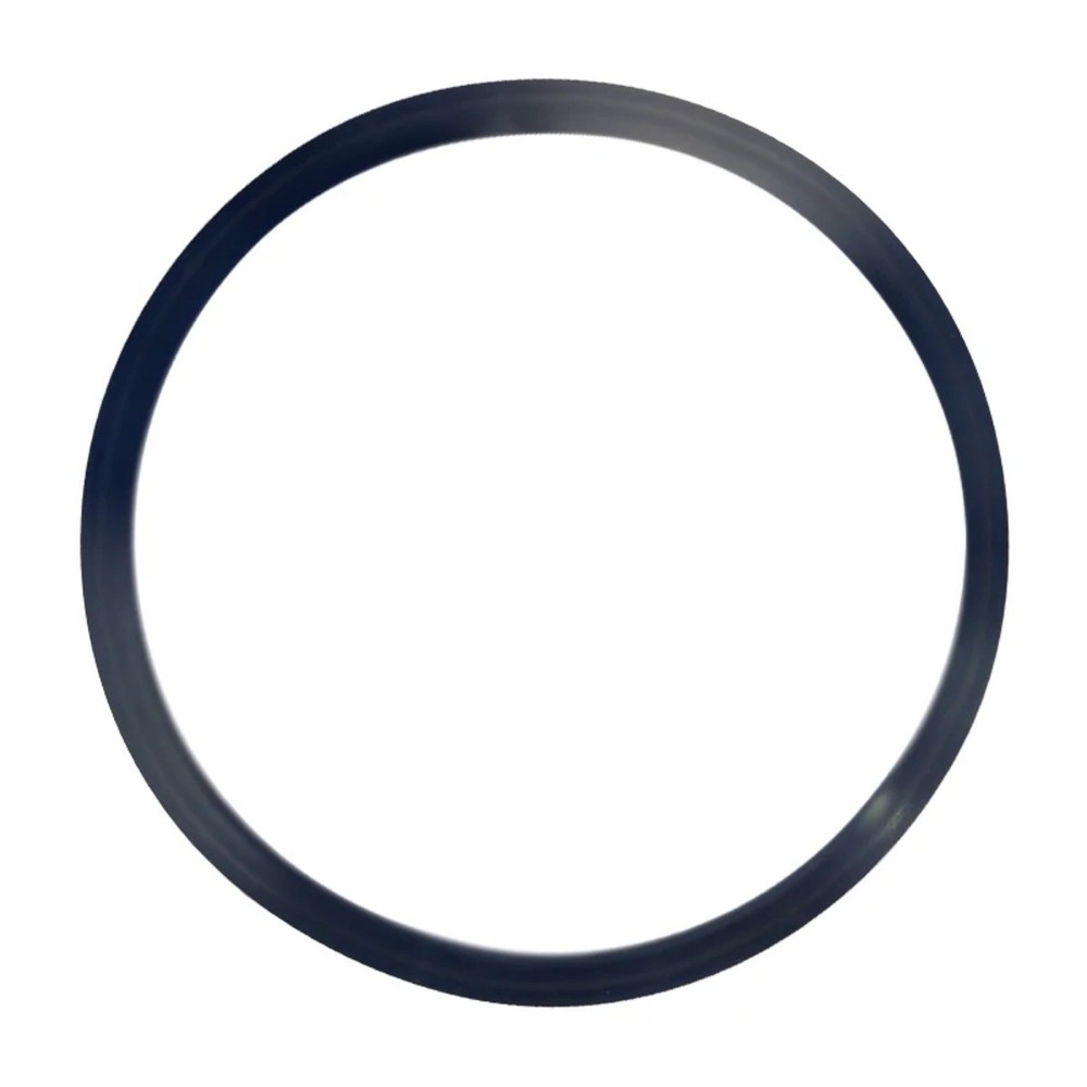 NSK DXP Domina PLUS B Autoclave door gasket for 8L 2L15L16L17-23L18L 22 L