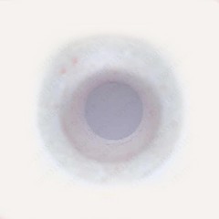 For NORGREN 5925-02 592502 Filter