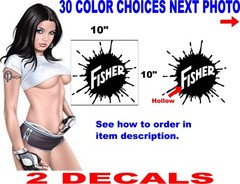 FISHER PLOW PLOWS DECALS NEW 30 COLOR OPTIONS STICKER LOGO