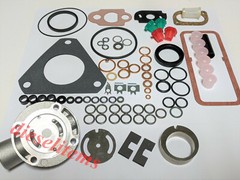 CAV DPA Injection Pump Kit 7135-110 End Plate, Blades and Liner